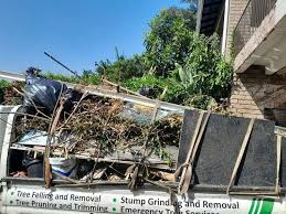 Best Moving and Downsizing Cleanouts  in Wood Ridge, NJ